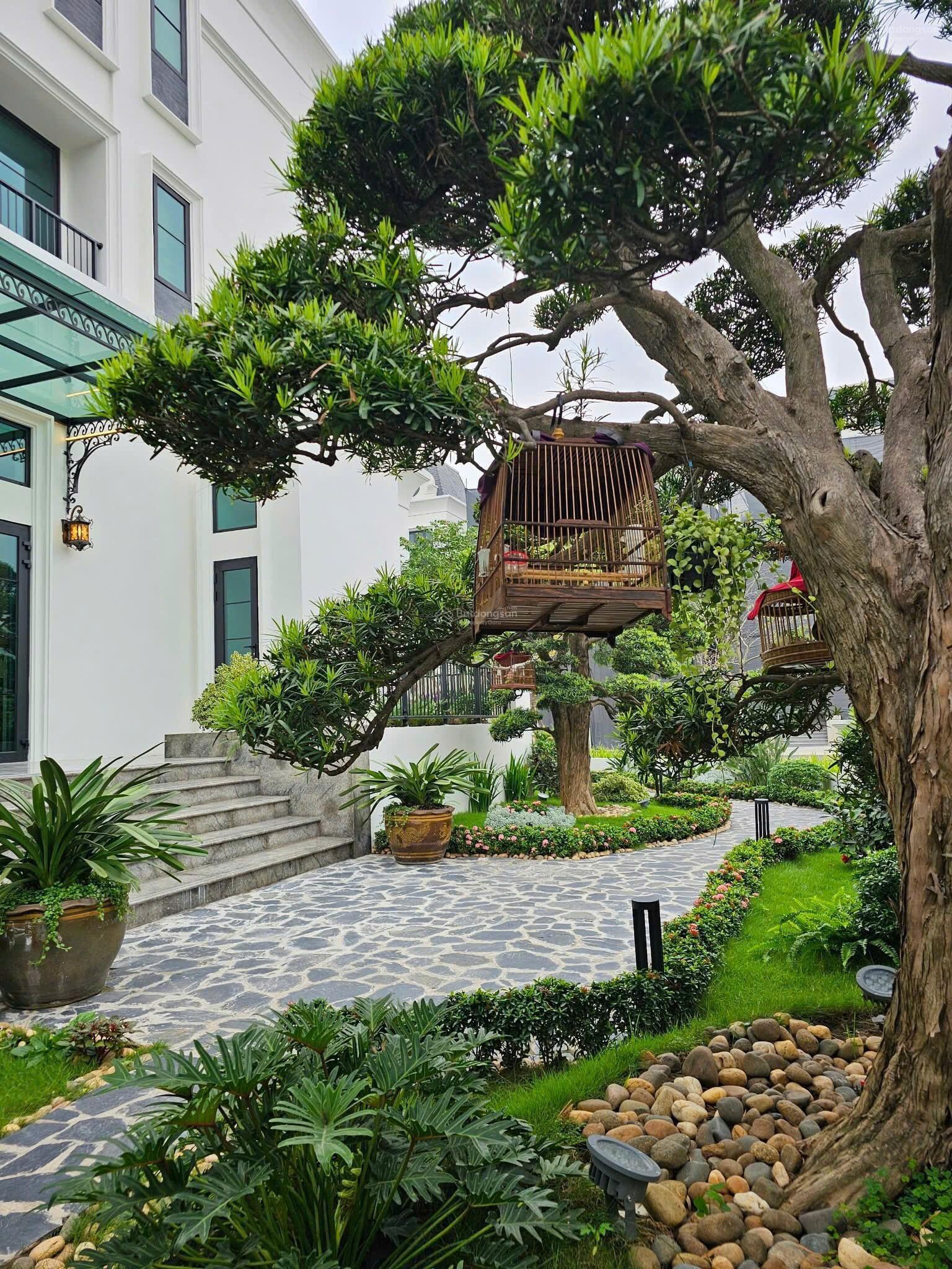 Bán Nhà Trung tâm Quận Ba Đình . 132 m2, 4 Tầng , MT 13 m , Lô Góc , Ô Tô Tránh Nhau ,( Giá 82 Tỷ )