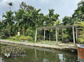 Chủ bán gấp nhà vườn nghỉ dưỡng 1200m2 chỉ 1 tỷ 050Tr, Sát Ql 13, Sổ Sẵn.