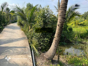 9000mv tại Mỹ Phú, Thủ Thừa, Long An có 4000mv thổ cư