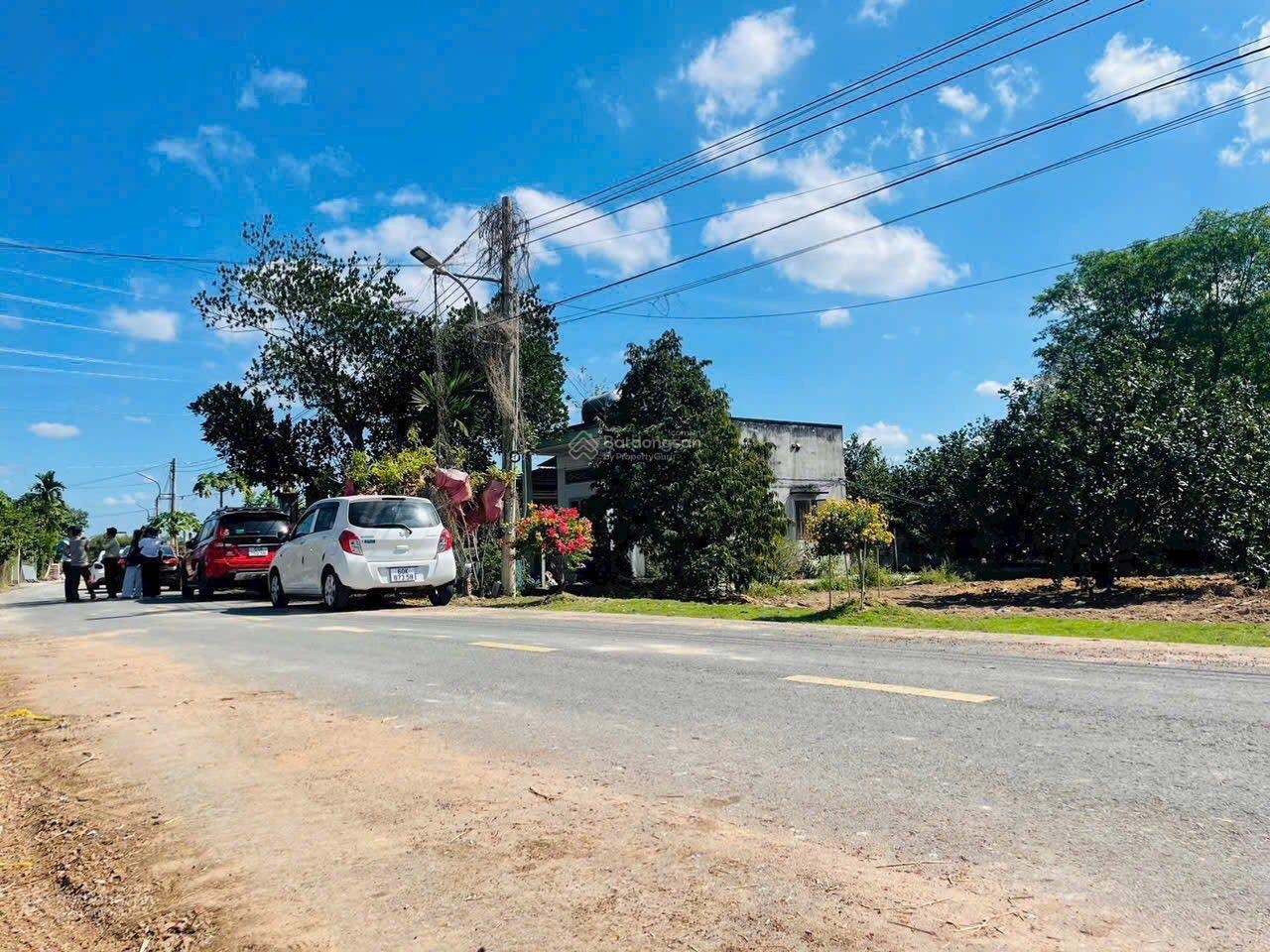 Chỉ với 250tr sở hữu đất thổ cư ngay hôm nay - tăng vườn bưởi đang thu hoạch