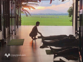 View lúa trà quế an mỹ cchâu hội an