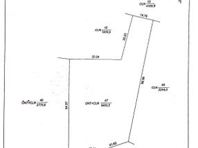 Cần bán 3453m2 đất, ngang 43m tại An Nhơn, Lương Phi, Tri Tôn, An Giang