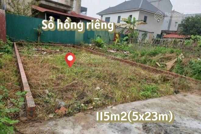 Bán gấp lô đất 115m2 giá 1ty2 đường Hồ Thị Lai xã Tân Phú Trung Củ Chi gần trường học sổ hồng riêng