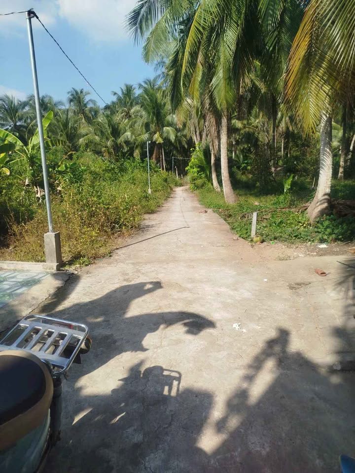 Chào mừng quý vị đến với thiên đường trần gian tại Bến Tre