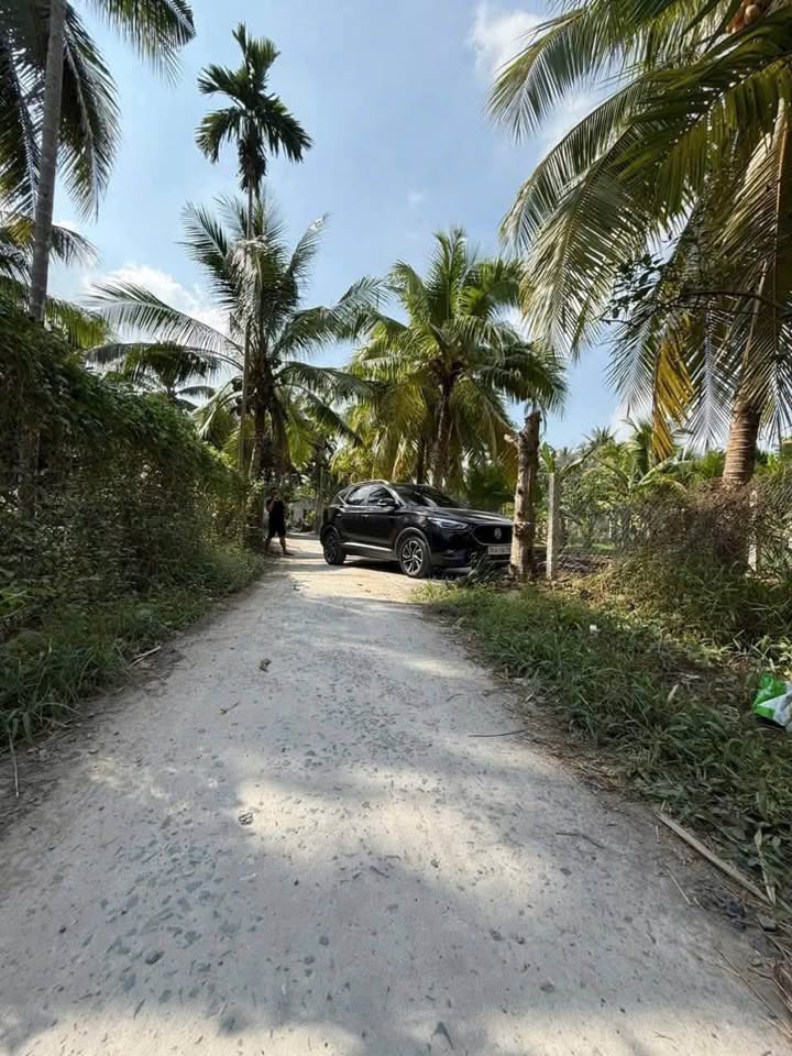 Cơ hội sở hữu ngay lô đất nền đắc địa tại Phường An Hội, Bến Tre