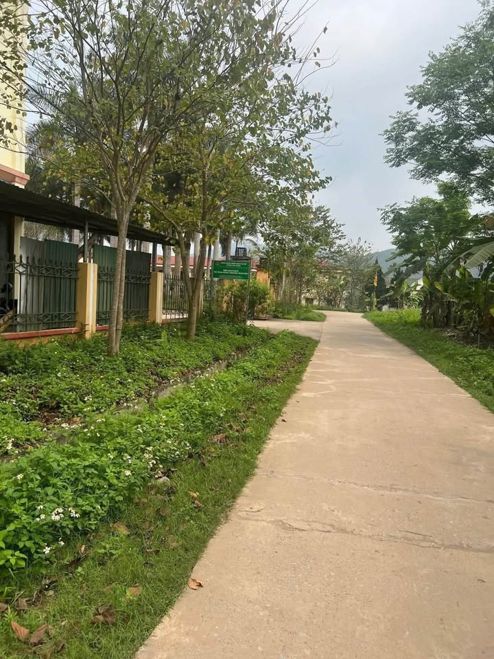 Đất Nông Trường, Trần Phú lô nở hậu đẹp như mơ, đầu tư là thắng lớn