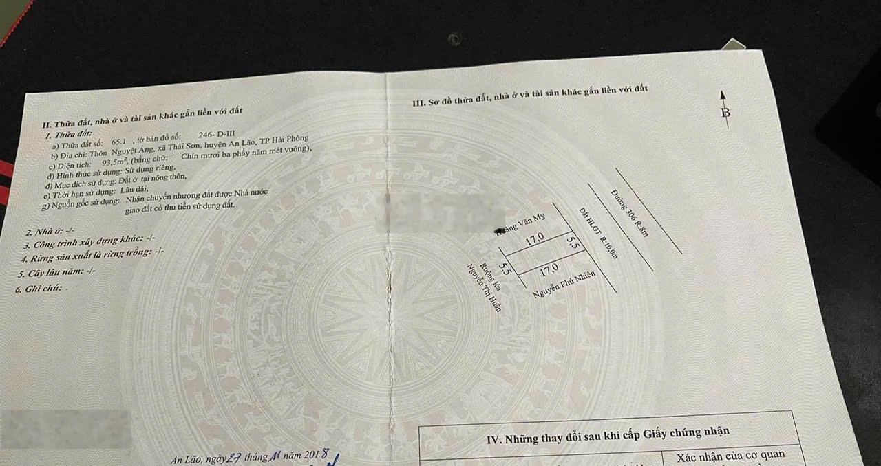Trục chính chợ Bứa Làng Nguyệt An Lão Kinh doanh buôn bán sầm uất Đường đang làm 12m mở rộng Đã