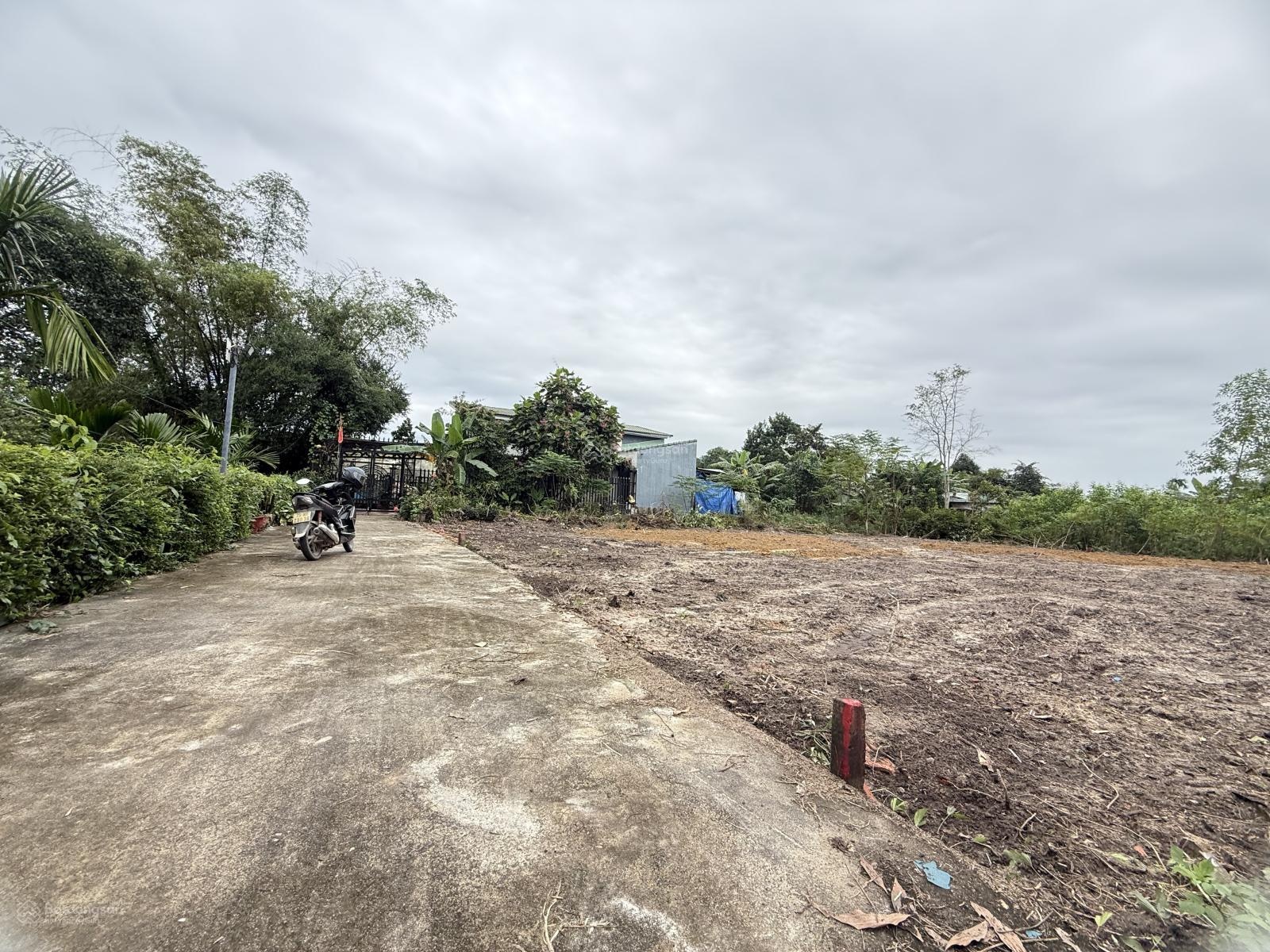 Sụp hầm 219m2 full thổ cư - hoà phong