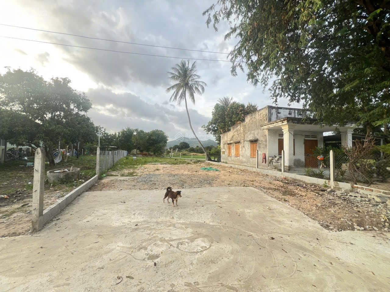 Bán lô đất giá rẻ nhất Cam Hiệp Nam, chỉ 3tr/m2, ô tô vào tận đất