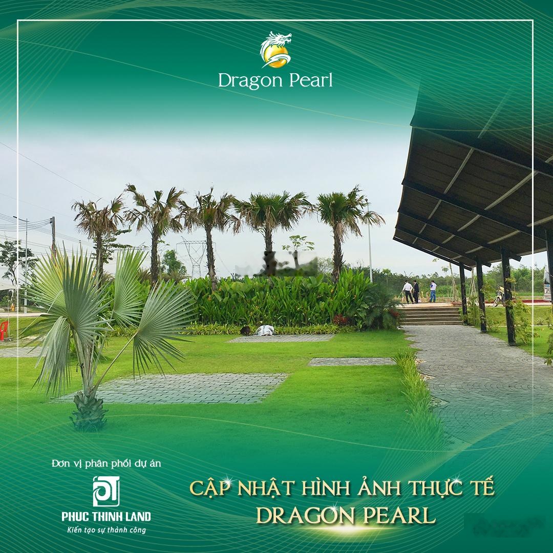 Bán đất nền dự án Dragon Pearl, Đường Tỉnh Lộ 10, Đức Hoà Đông, Đức Hòa, Long An, 1,962 tỷ, 90 m2