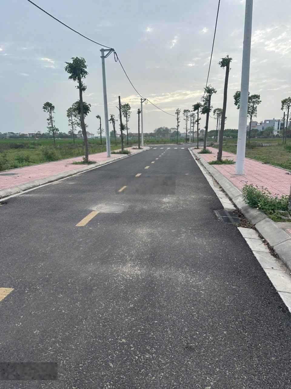 100m đấu giá lại châu chu phan mê linh