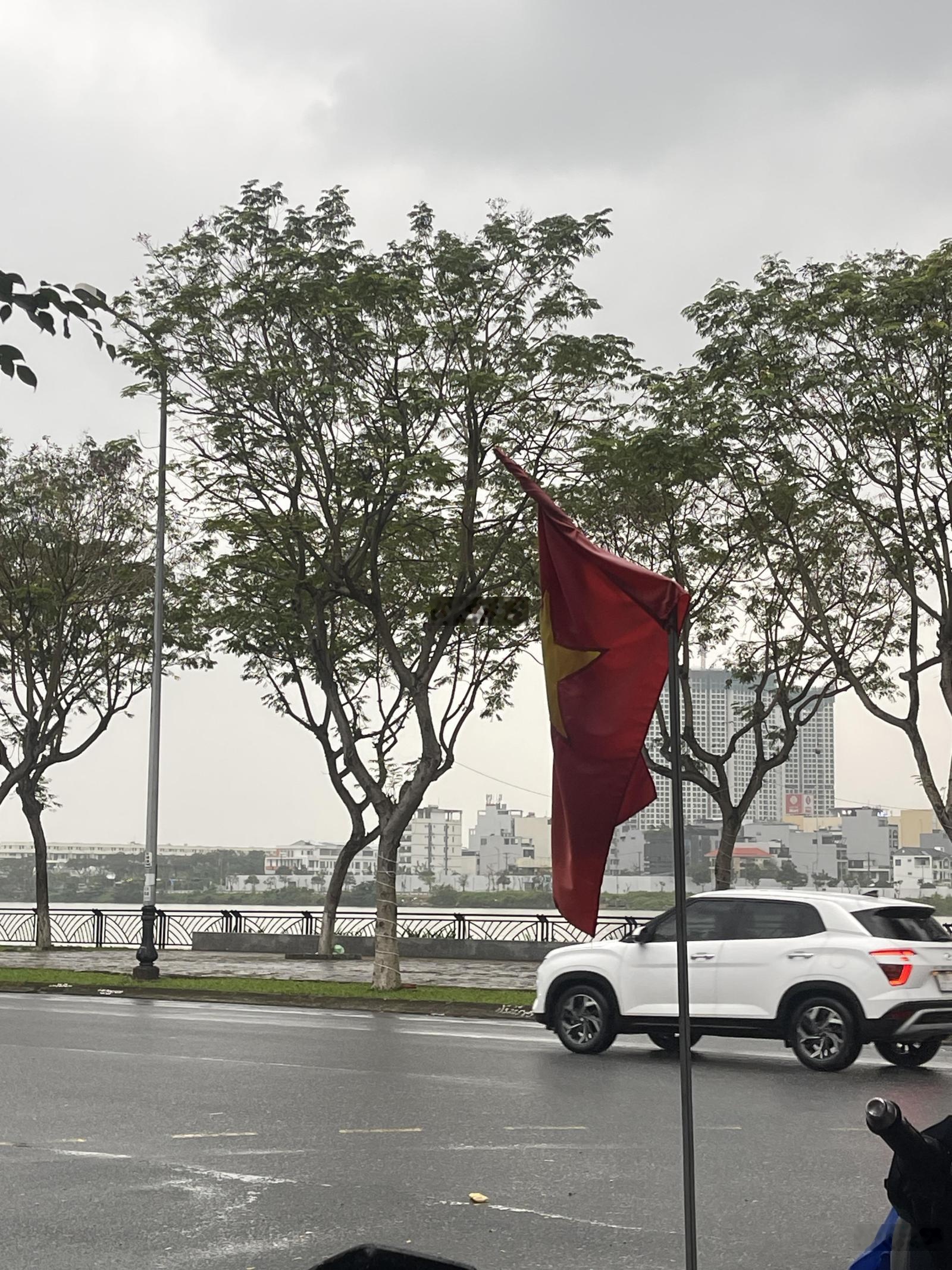 Cặp Đất gần đài pháo hoa Đà Nẵng