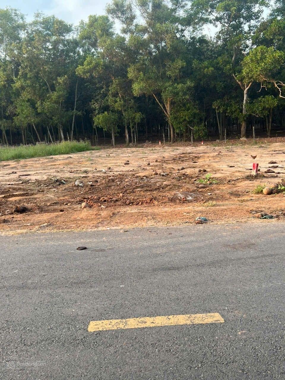 Đất mặt tiền buôn bán kinh doanh ngay chợ tự phát_ chánh phú hoà_ bến cát_ bình dương