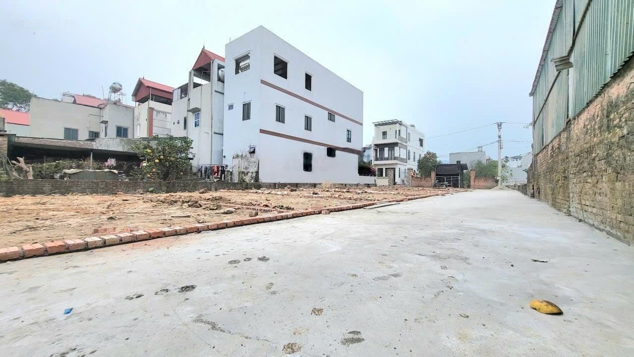 50m ấp tre tổ 9 quang minh mê linh