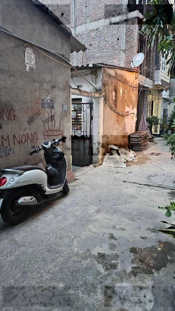 Bán đất Lĩnh Nam, Hoàng Mai lô góc, ngõ thoáng sáng, gần phố, 70m2 giá 11.2 tỷ