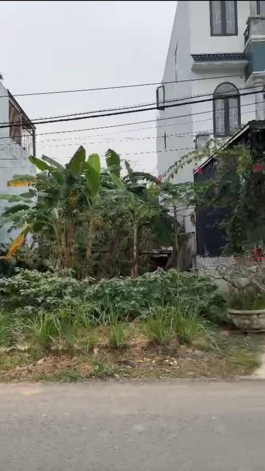 Lô đất 100m2 mặt tiền 5m tại khu công nghiệp Sông Mai, Bắc Giang cơ hội đầu tư sinh lời