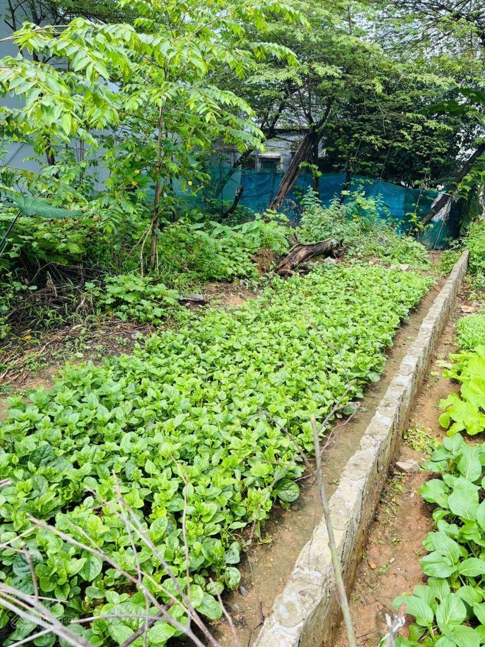 Hót ! đường lê trí viễn tdc bá tùng hoà quý nhson tpđn - đường 10.5m giá tốt chỉ 5txx