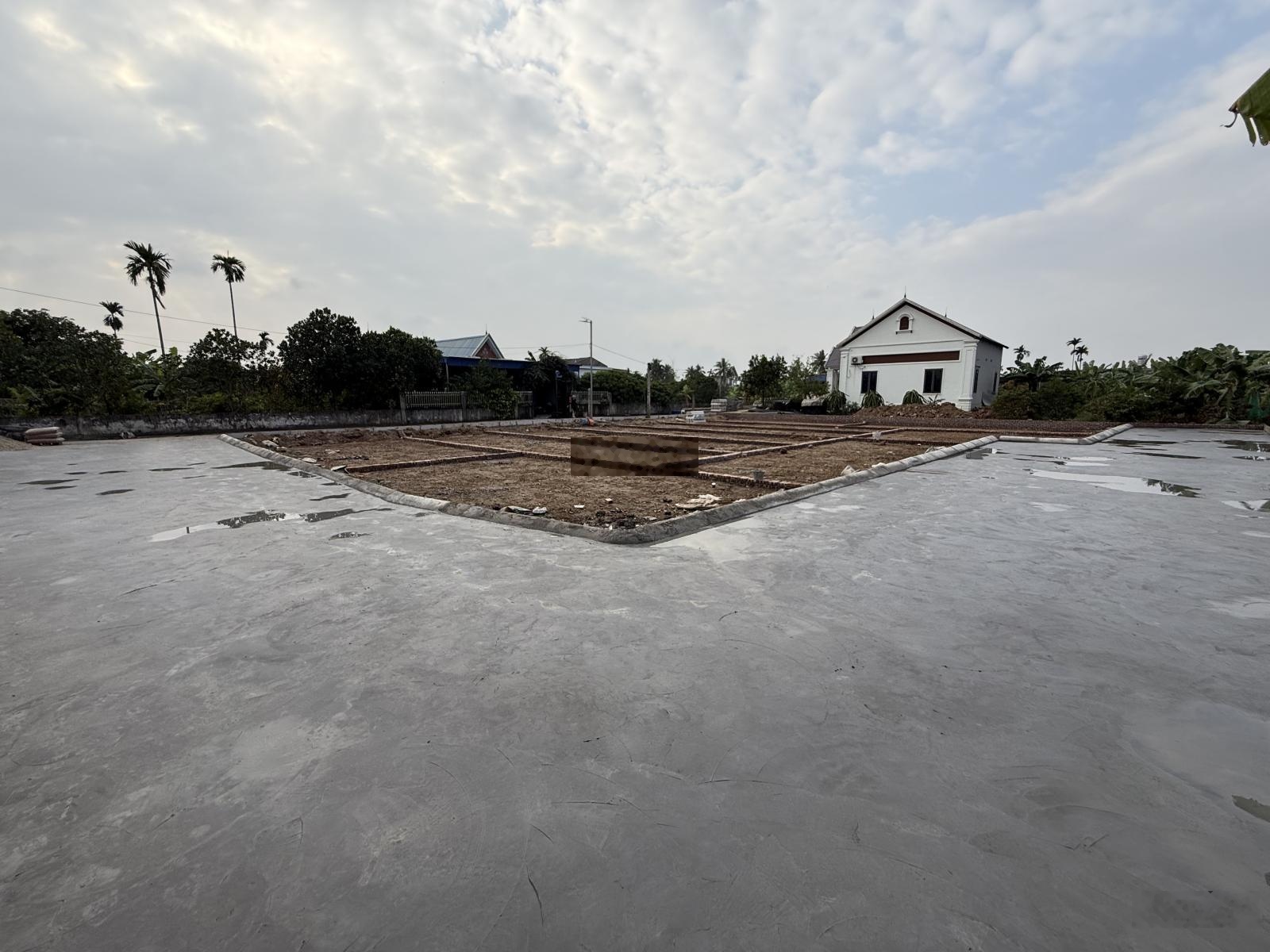 Số lượng có hạn . Chỉ 10 lô F0 duy nhất tại Trung Nghĩa . Đồ Sơm