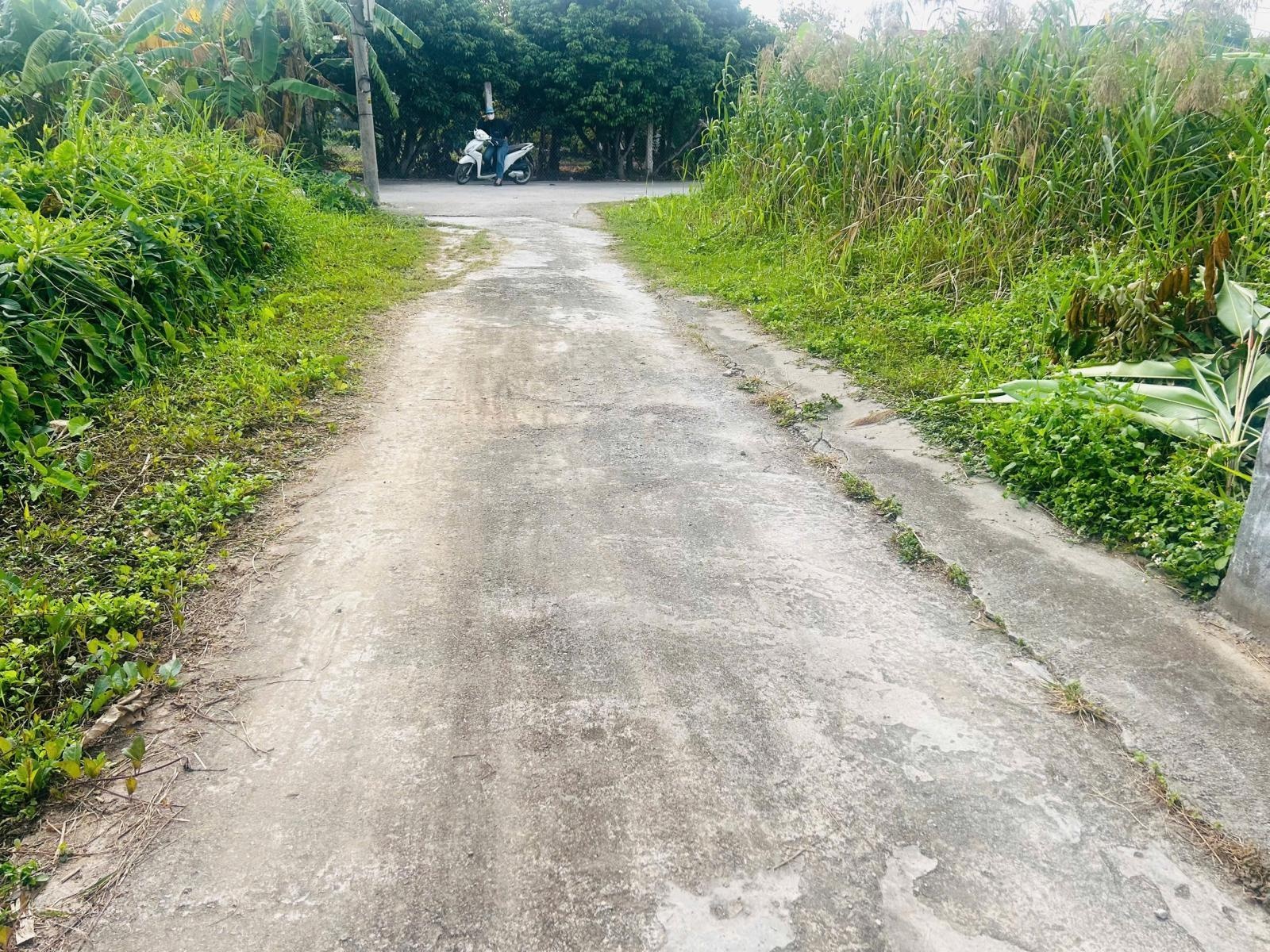 -lô đất tdp quang trung phường minh đức, đồ sơn