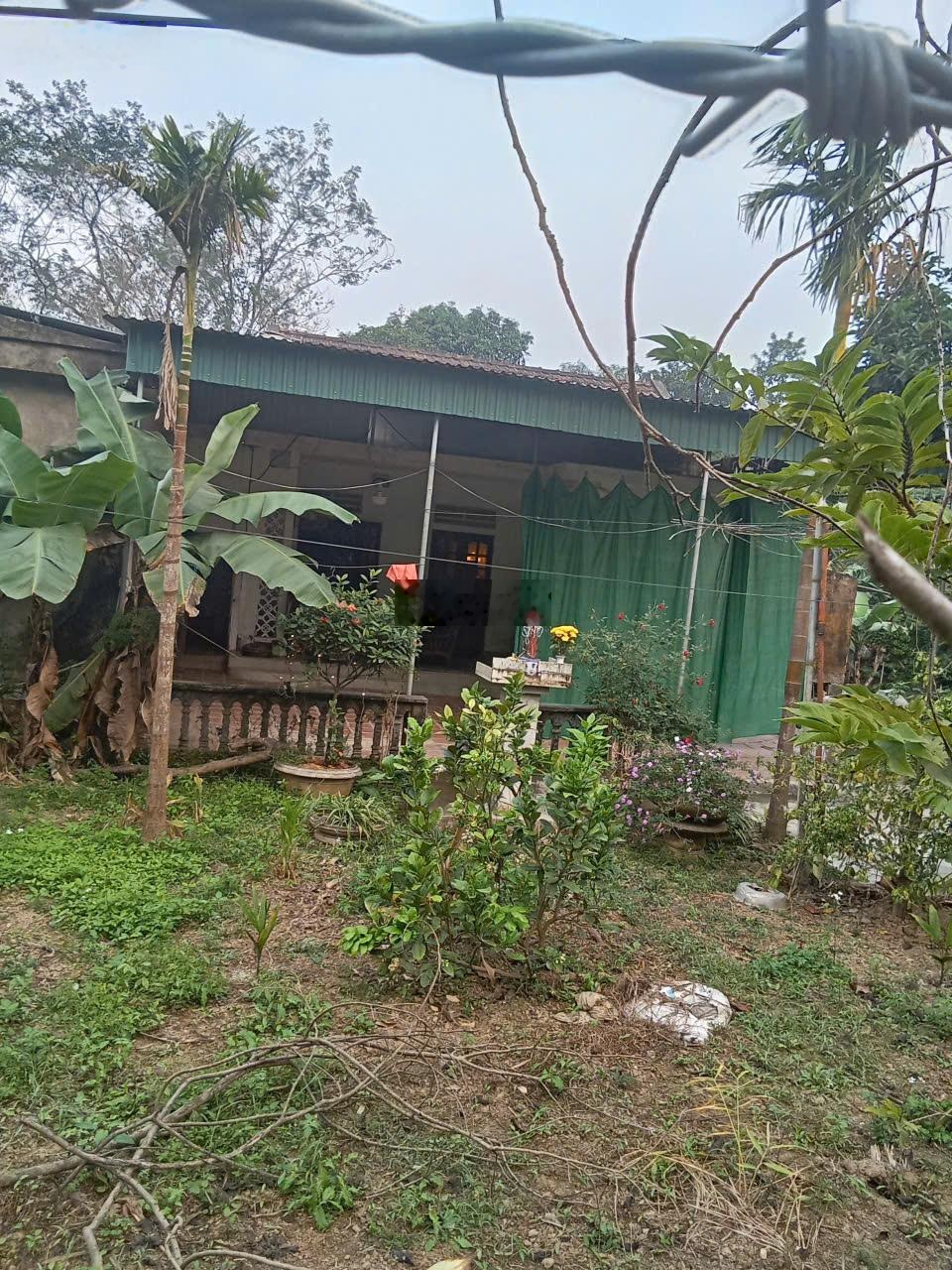 Về quê ở cùng anh em họ hàng, chính chủ cần bán đất có nhà cấp 4, DT 800m2