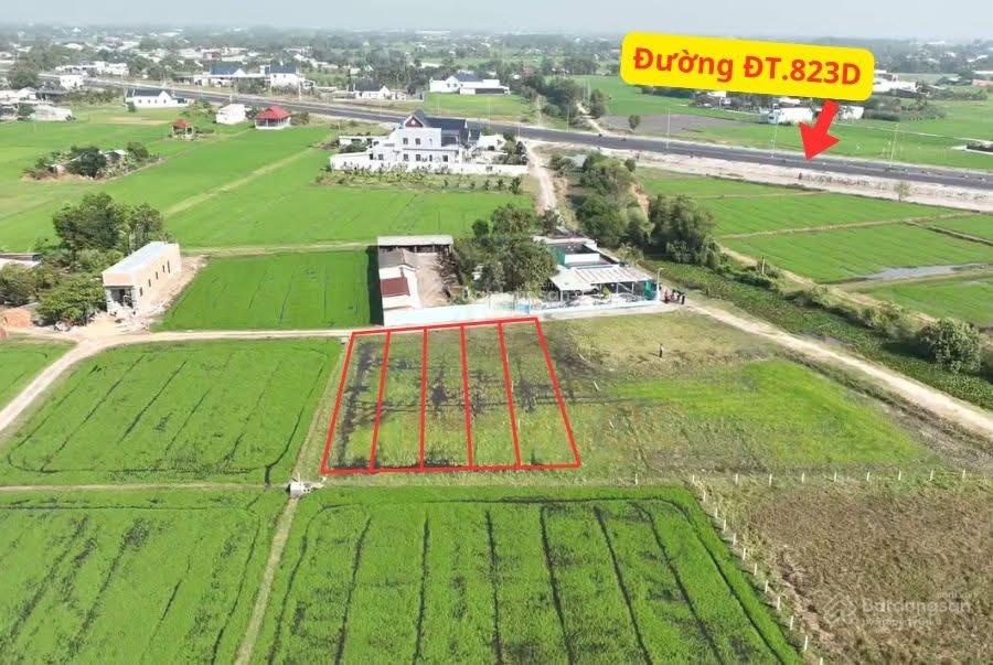 Bán 5 lô đất nền thổ cư ngay trục ĐT. 823D Hòa Khánh, Tây Ninh