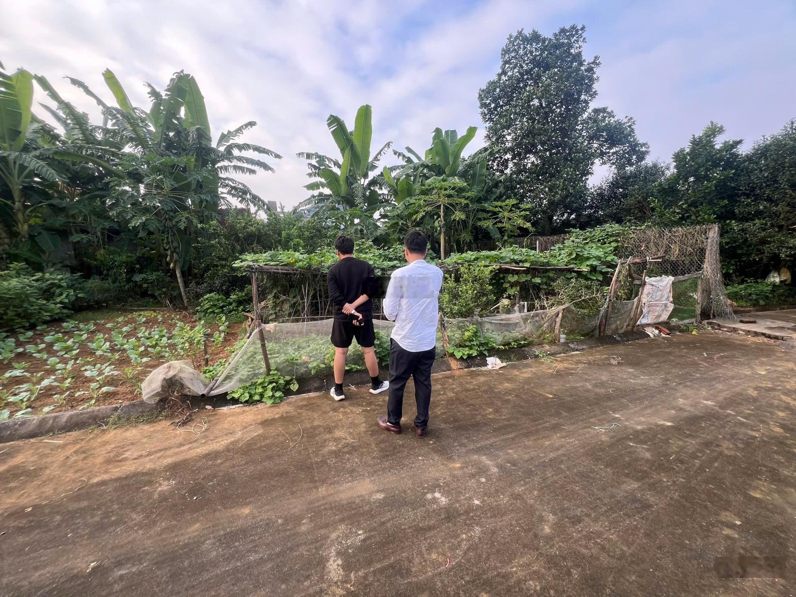 Chính chủ bán đất gần Metro số 5 sát khu công nghệ cao Hòa Lạc