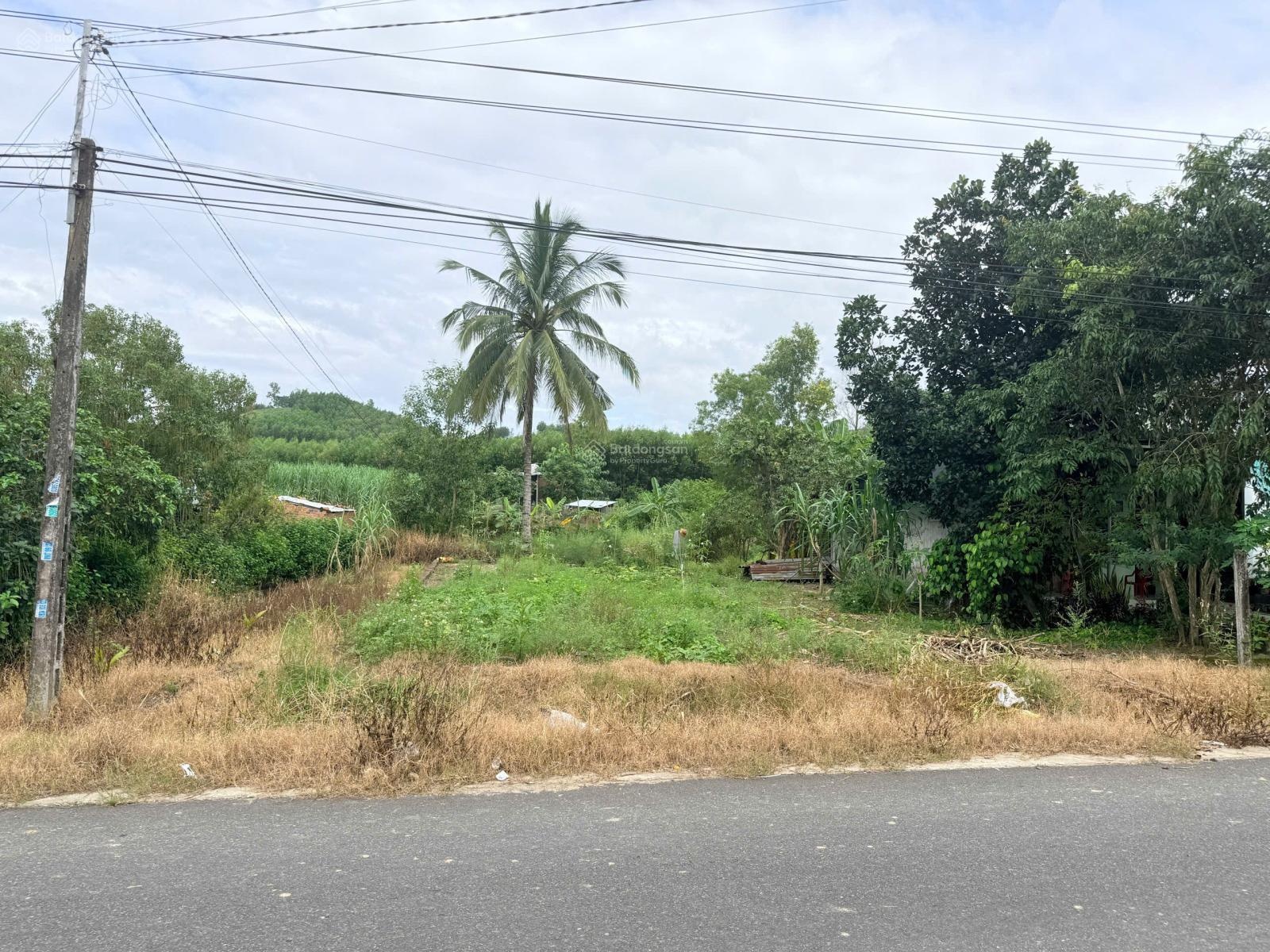 Hạ giá bán lô đất cực đẹp ngang 10m mặt tiền Hương lộ 62, quy hoạch đường 30m