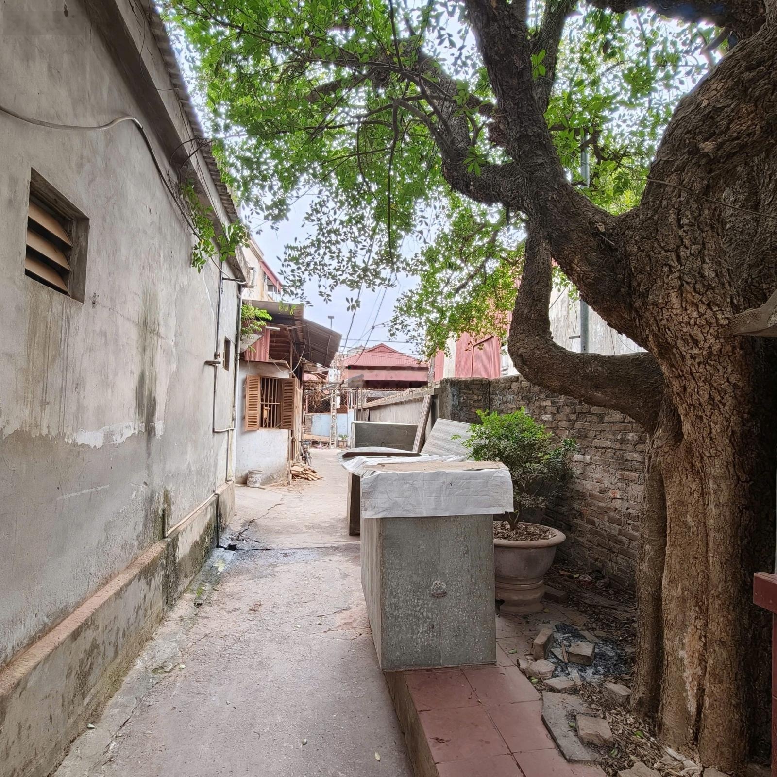 Duy nhất 2 lô tài chính chỉ 850 triệu - khách mua ở - đất khu phố Mai Động, Từ Sơn, Bắc Ninh