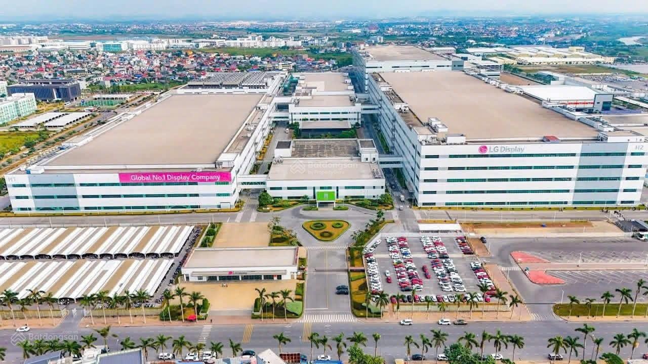 40 lô phân khu đảo dừa tại Xã Bát Trang - An Lão - Hải Phòng, 650 triệu, 65m2