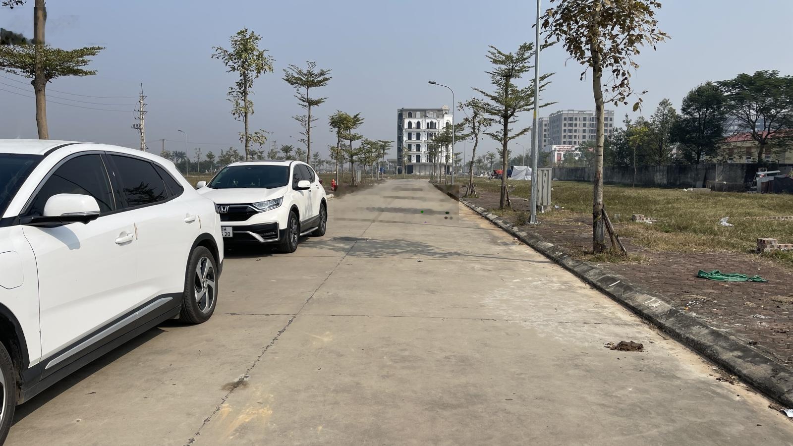 93m đấu giá bạch đa kim hoa mê linh hà nội