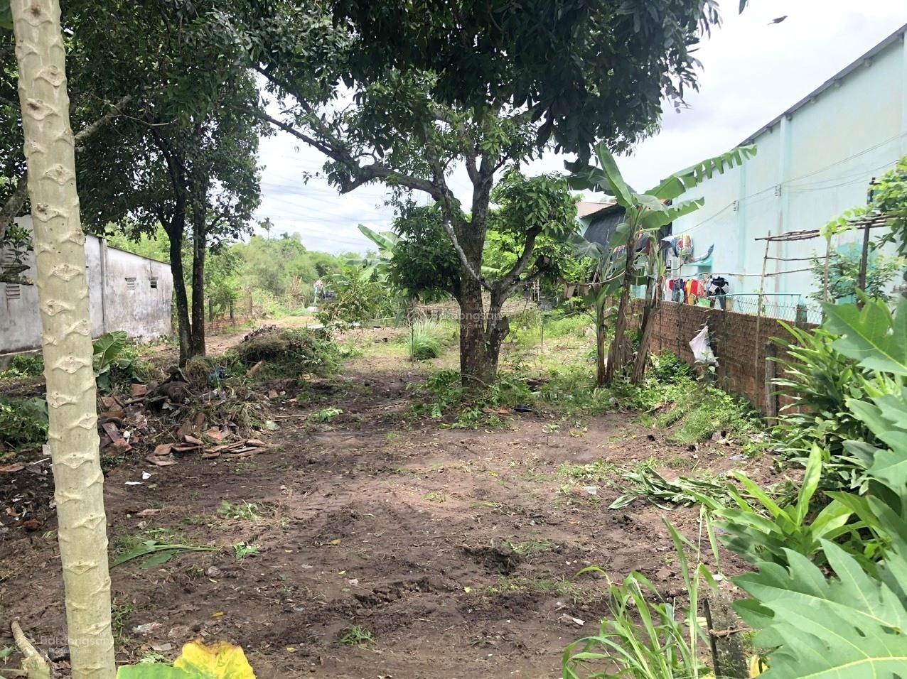 Bán đất mặt tiền đường 458 Trung An Củ Chi