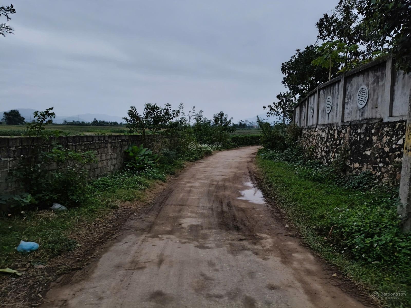 Hàng mới giá rẻ tại Khánh Thượng sẵn vườn cây ăn trái, MT rộng, giáp cánh đồng, view núi thoáng đẹp