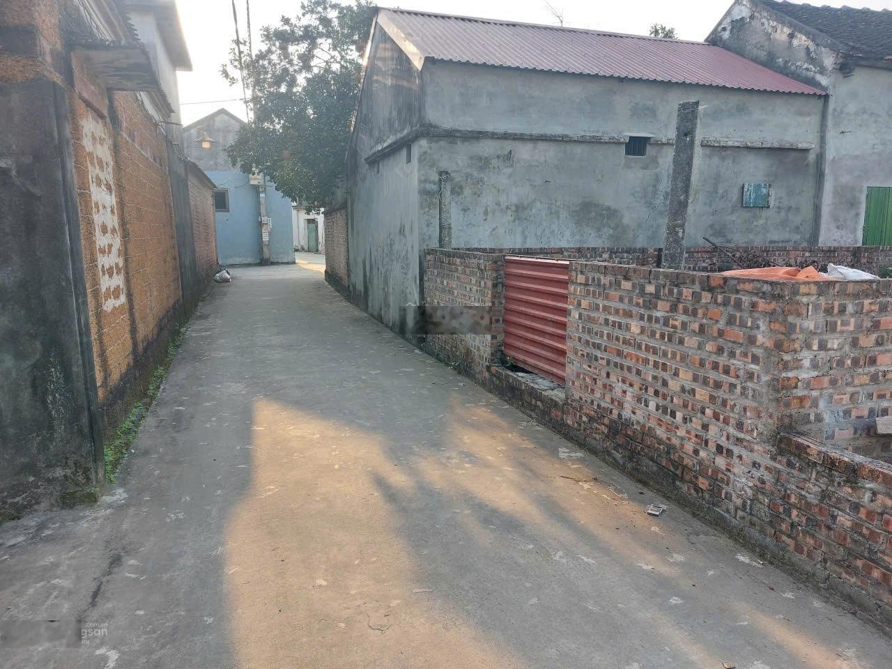 Chính chủ cần bán nhanh trước Tết giá hời, đất 60,6m2 tại Đồng Bụt, Kiều Phú mới, đường oto