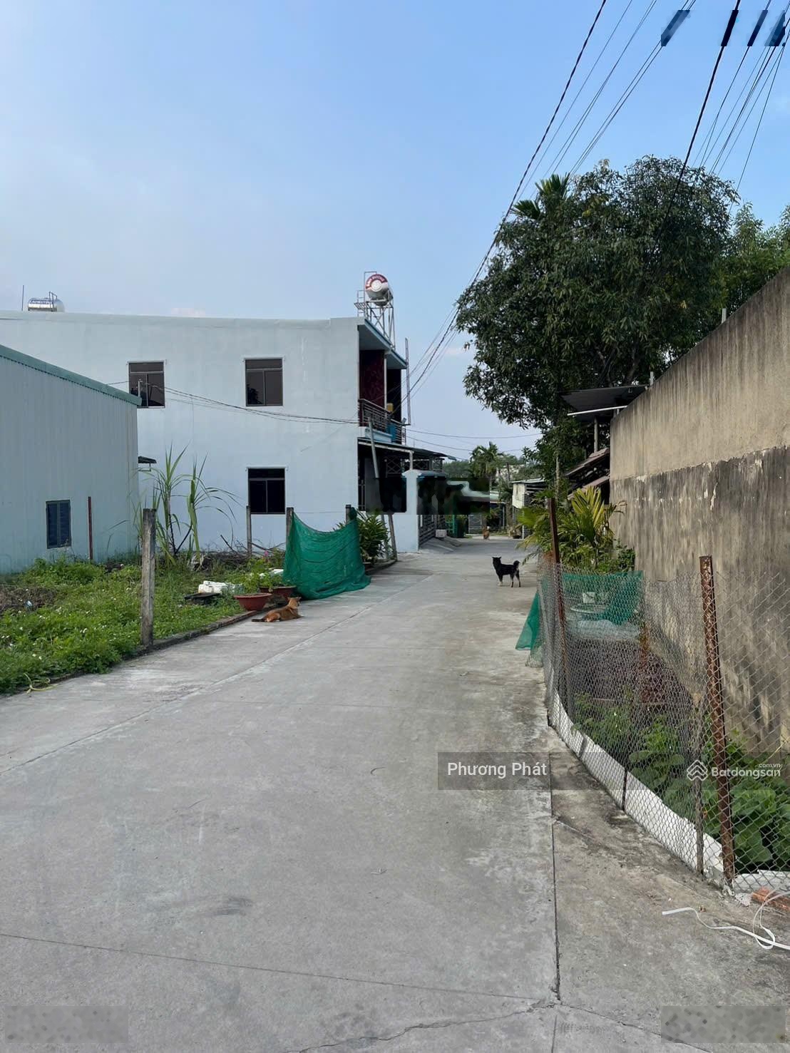 Bán gấp đất sổ hồng riêng thổ cư 100% giá rẻ gần ngã 3 Bình Ý, TT 149tr sở hữu được ngay