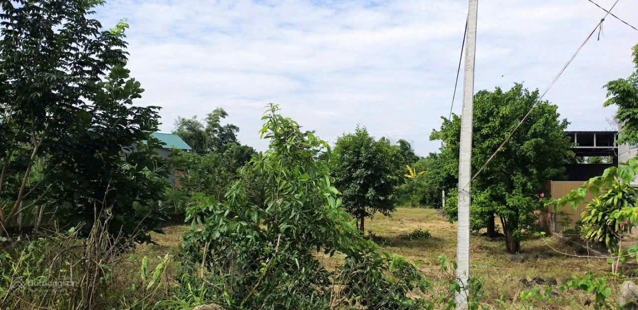 Bán đất tại Xã Ea Kao, Buôn Ma Thuột, Đắk Lắk giá cực chất 6,29 tỷ, 3165 m2