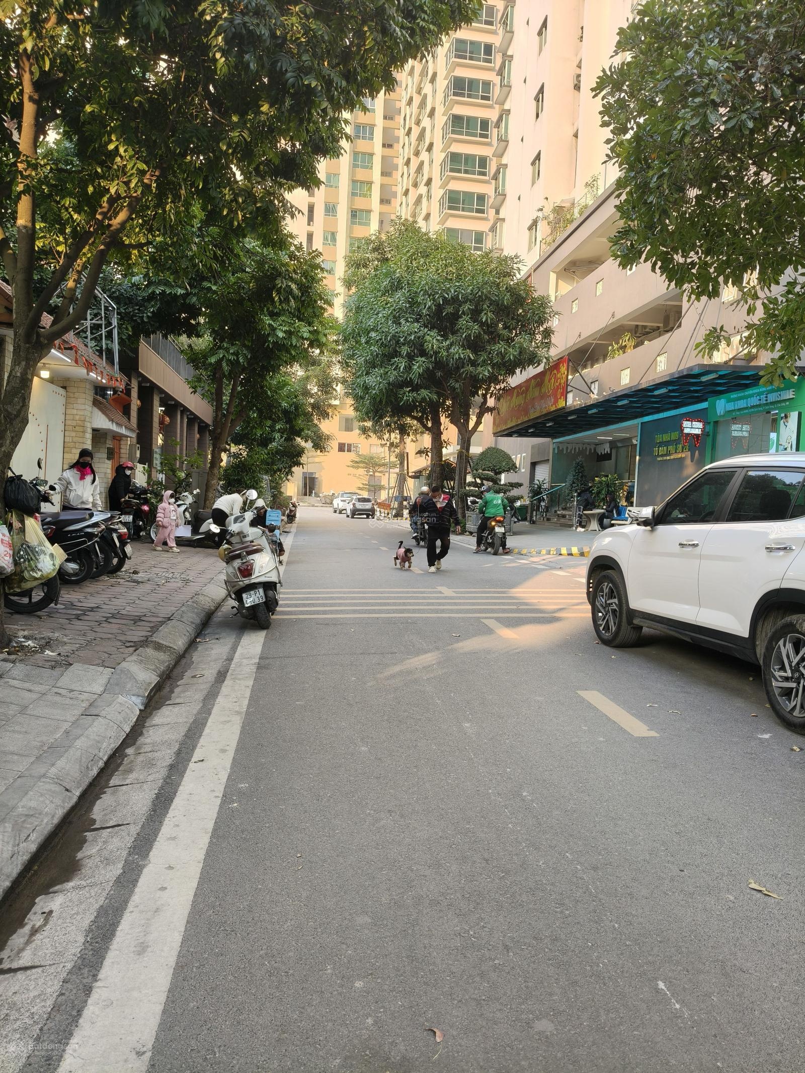 Bán gấp BT 310m2, 7PN, 4WC, ĐTM Dịch Vọng, Cầu Giấy, Hà Nội, 93 tỷ VND