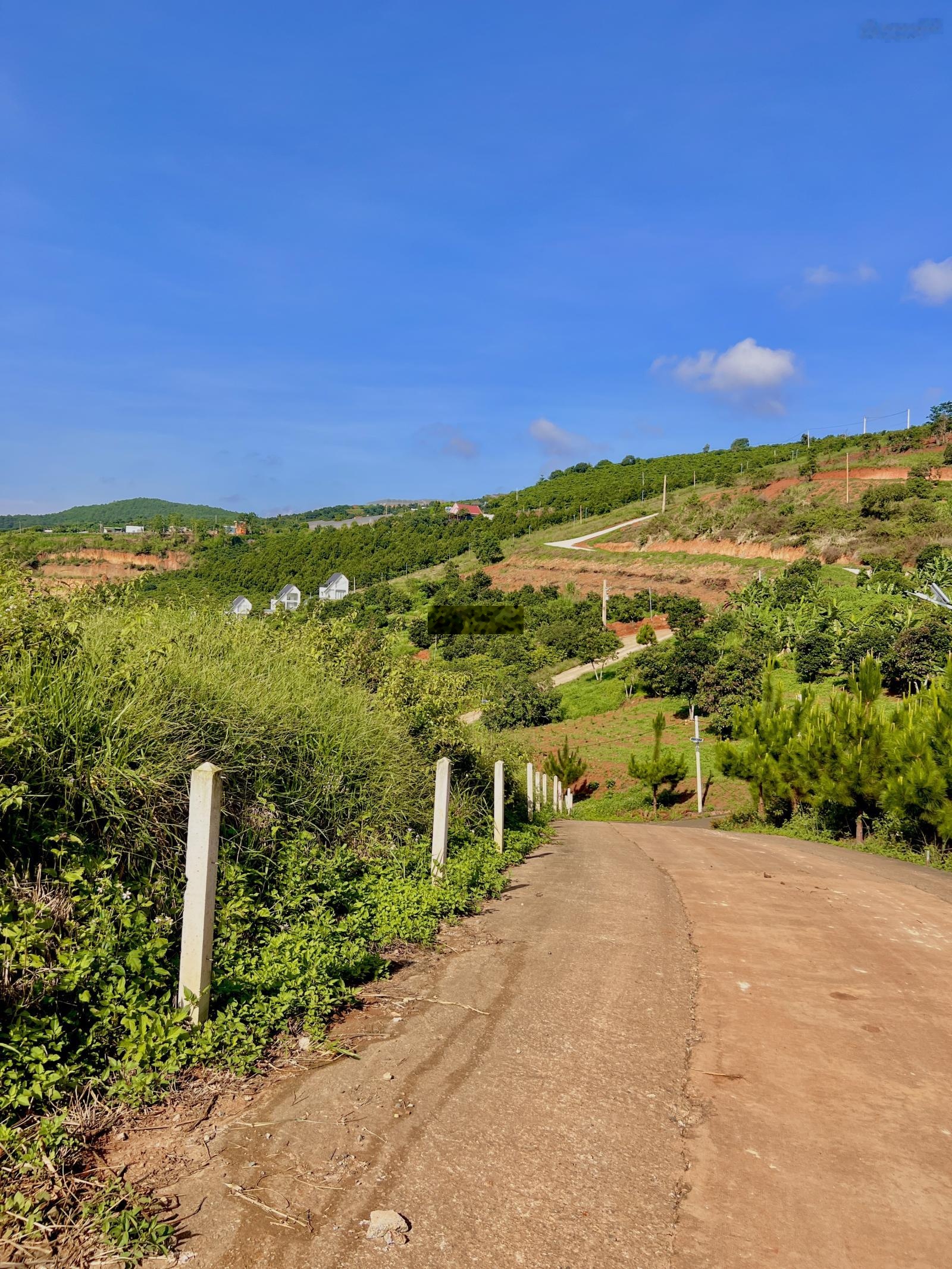 Giá tốt chỉ 1 tỷ 850tr sở hữu lô đất 539m2 full thổ tại Mê Linh, Nam Ban, view thoáng, giáp suối