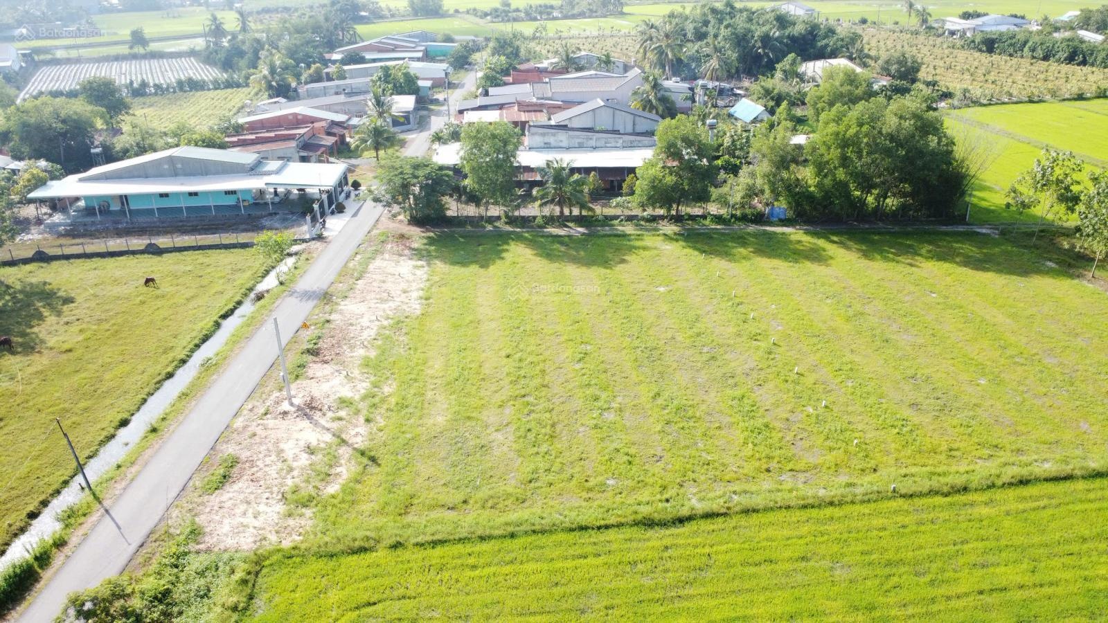 Ngộp bán gấp cắt lỗ 50 triệu, mặt tiền nhựa DH2