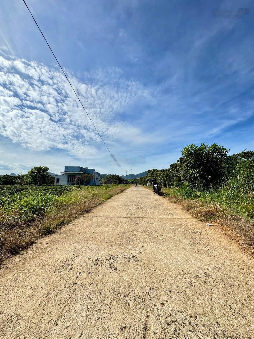 Kẹt tiền cần bán nhanh lô đất đẹp trong tháng 12