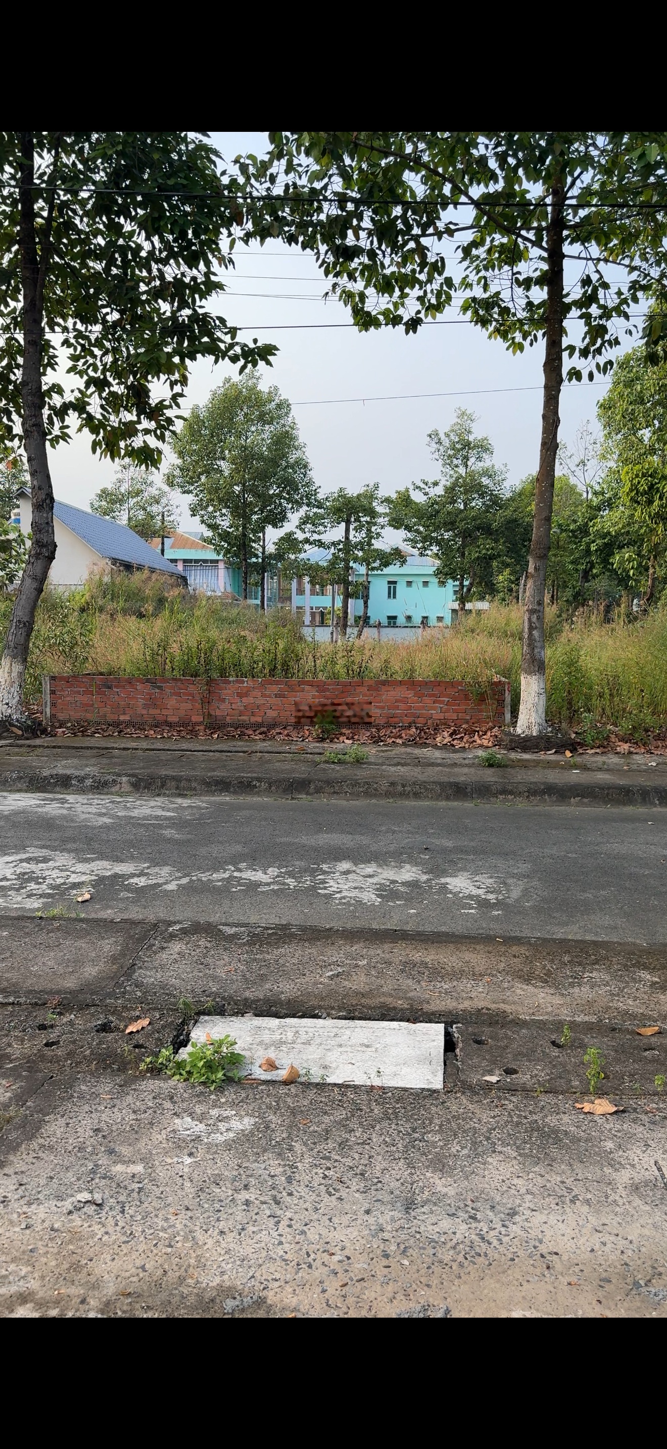 Tdc đại phước, tđc phước khánh,đồng nai còn mấy nền chủ gửi bán , anh chị quan tâm ib em gửi tt ạ!