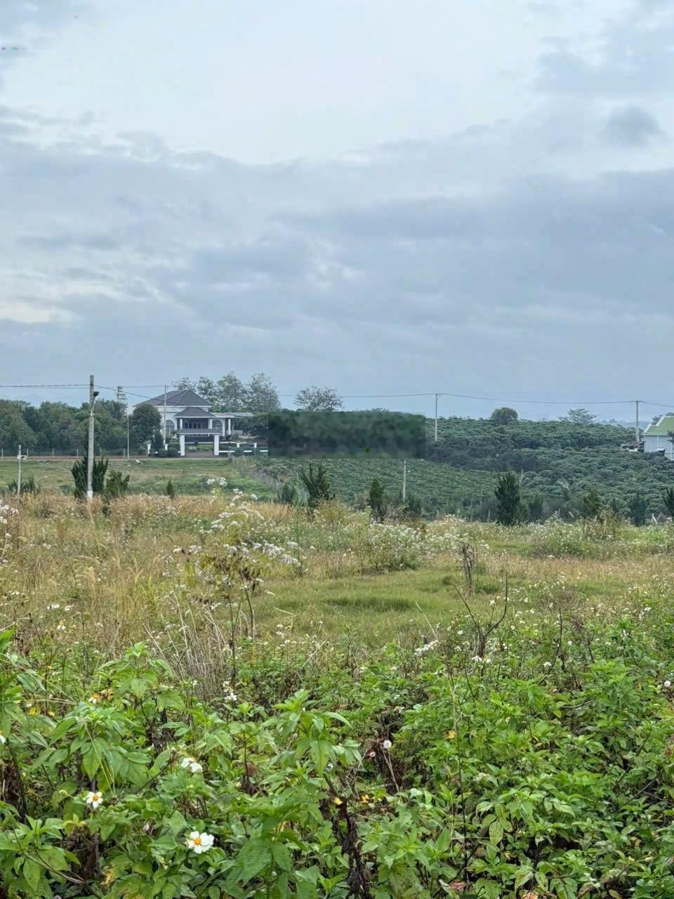 Bán gấp đất đẹp tại Xã Hoà Bắc, Di Linh, Lâm Đồng, giá 1,45 tỷ