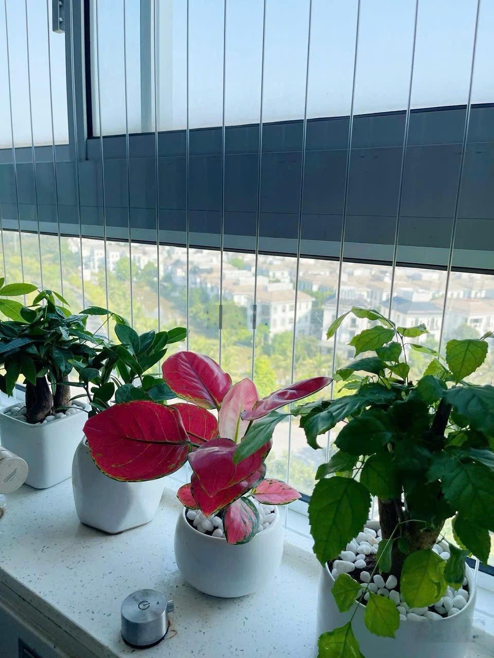 Căn chung cư vị trí đẹp nhất sài đồng - tiện ích đầy đủ - cần thanh khoản gấp.