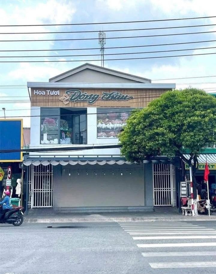 Bán gấp căn nhà mặt tiền kinh doanh Trần Đại Nghĩa, Bình Chánh, TPHCM