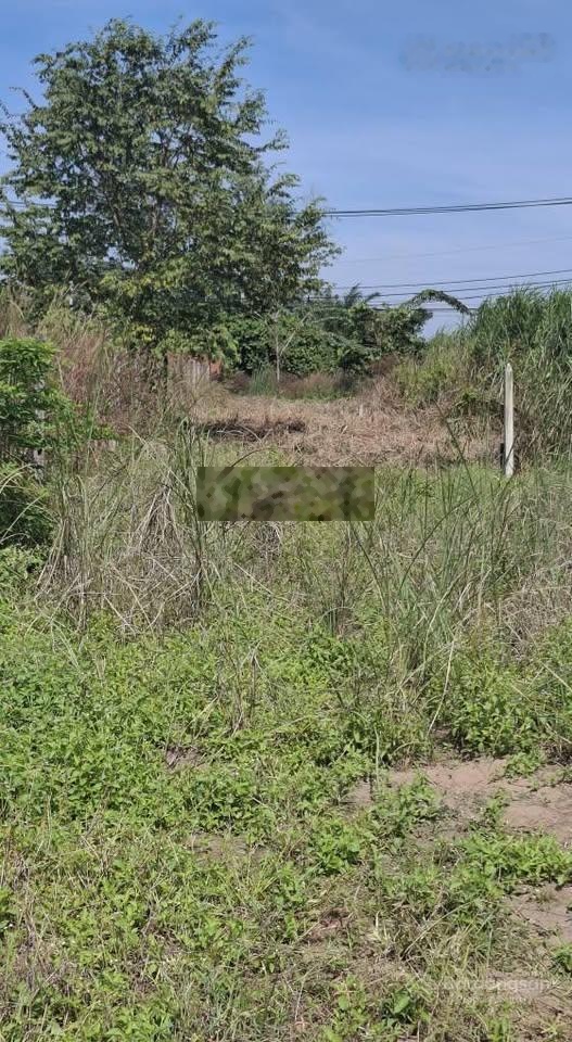 Bán đất mặt tiền Tỉnh Lộ 7, An Nhơn Tây, Củ Chi, hơn 5,6ha có sẵn 180m2 thổ, giá 330tỷ làm việc gọn