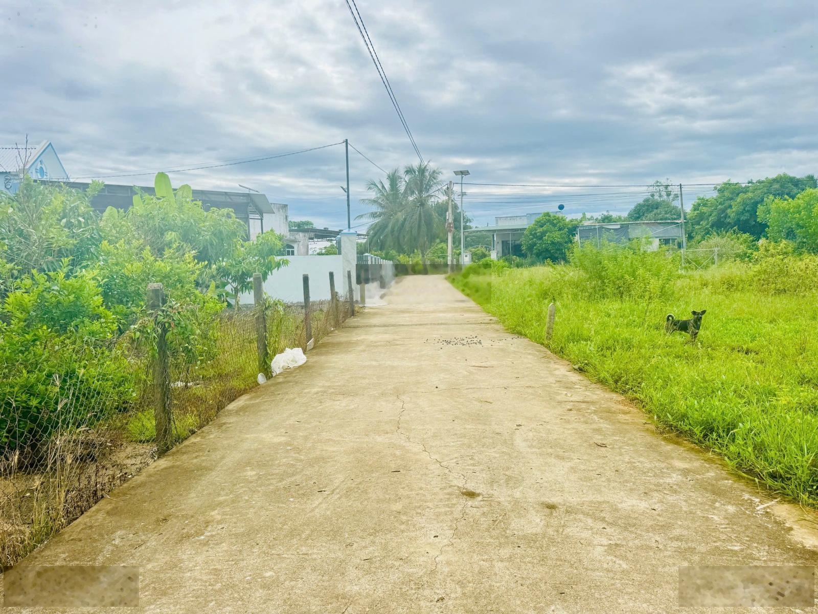 Bán gấp đất Full Thổ cư mặt đường oto Bê Tông gần tỉnh lộ 2 giá rẻ