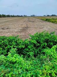 Đất mặt tiền QL Phụng Hiệp phù hợp làm dự án nhỏ