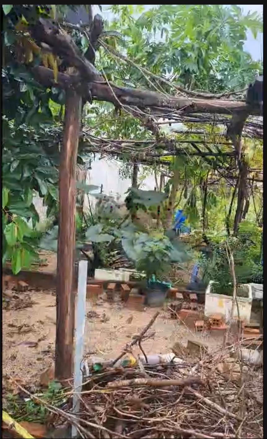 Bán đất tại Đường 39, Diên Phước, Diên Khánh, Khánh Hòa, giá tốt chỉ với 1,52 tỷ, 114,3m2