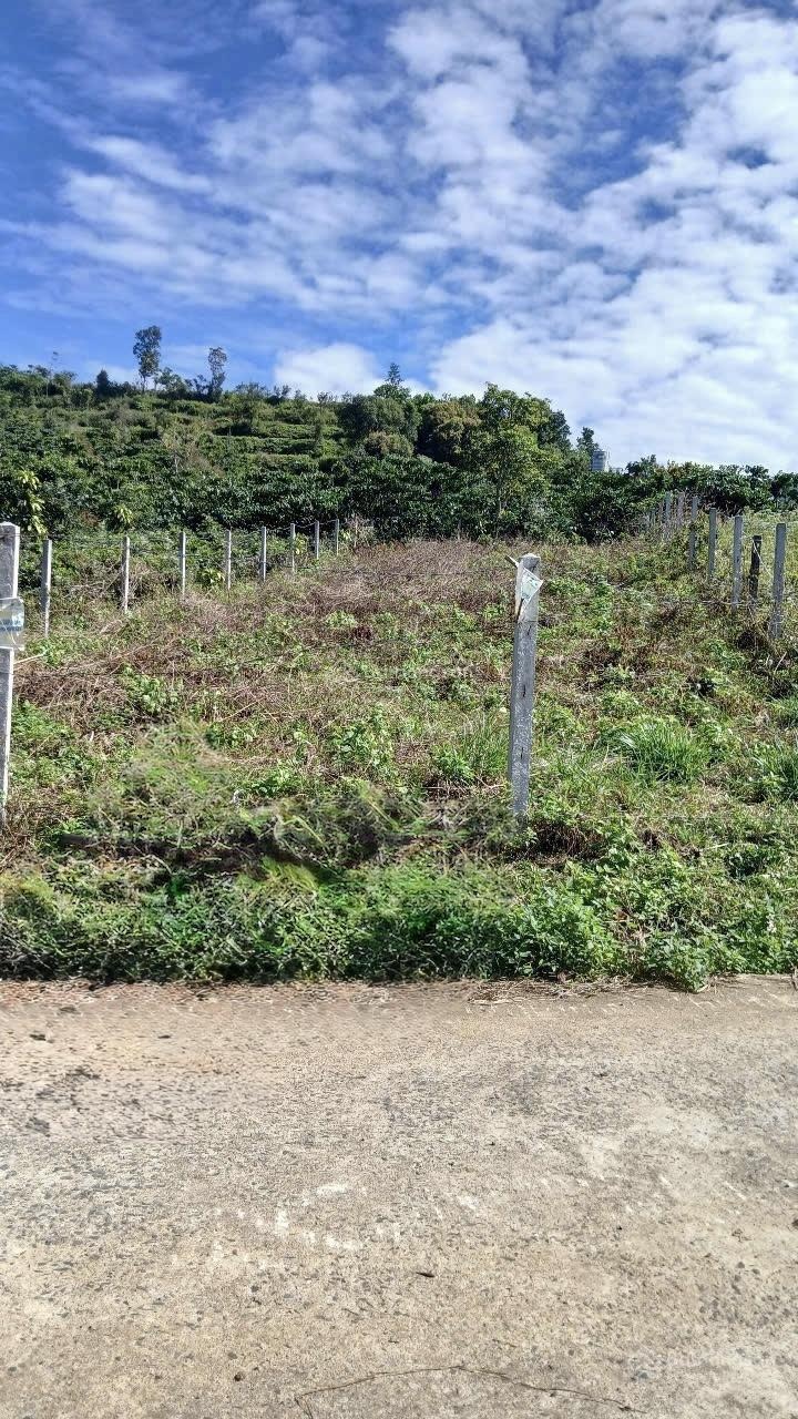 Cần bán gấp lô thổ cư siêu đẹp tại Hoà Bắc, Di Linh, Lâm Đồng 1,5 tỷ