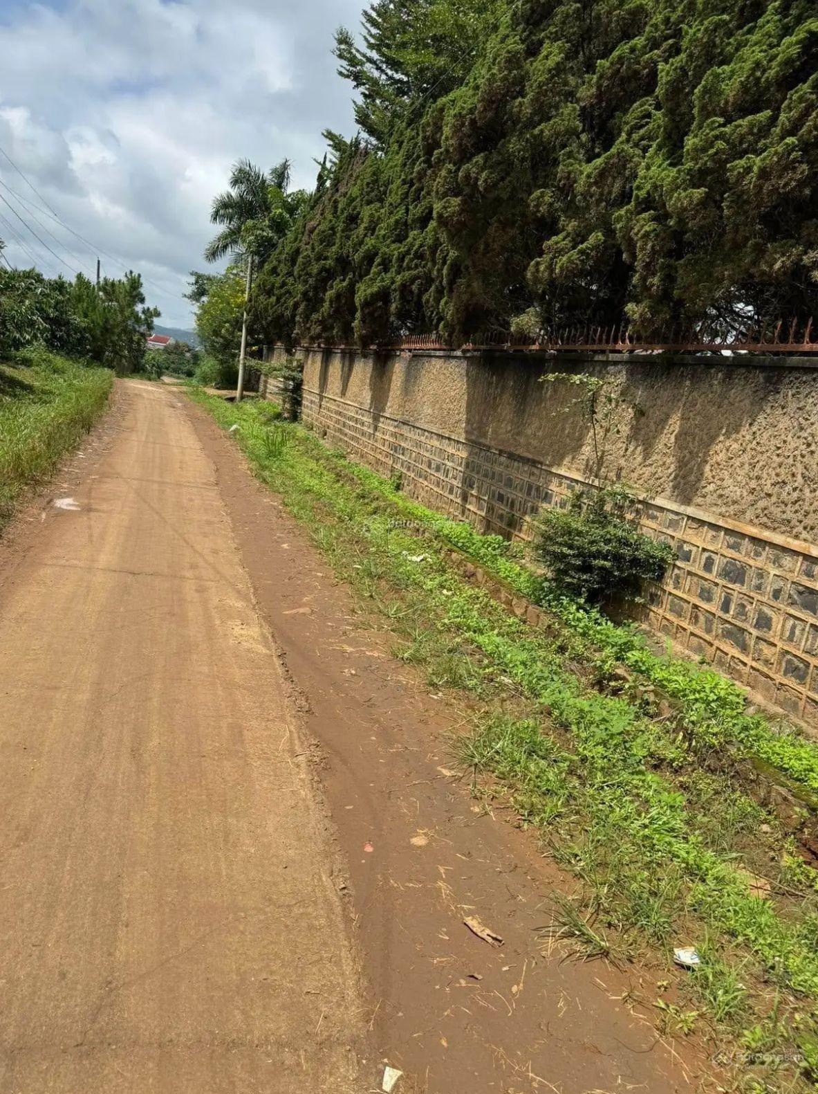 Đất Hòa Bắc - Di Linh, dân đông, giá tốt