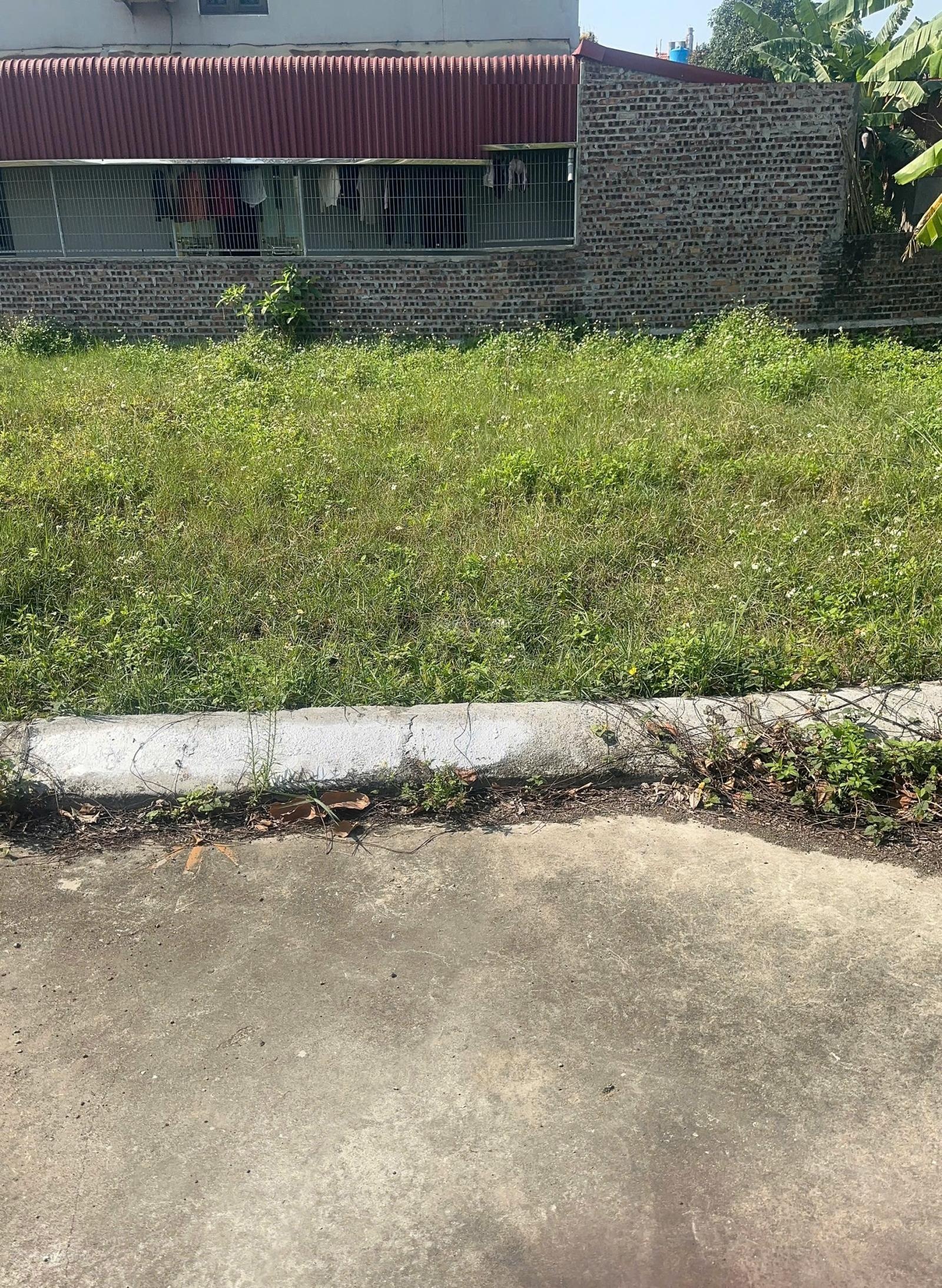 Chủ gửi bán lô đất tại tổ dân phố Dương Hòa phường Minh Đức thị xã Mỹ Hào, diện tích 56,3m2